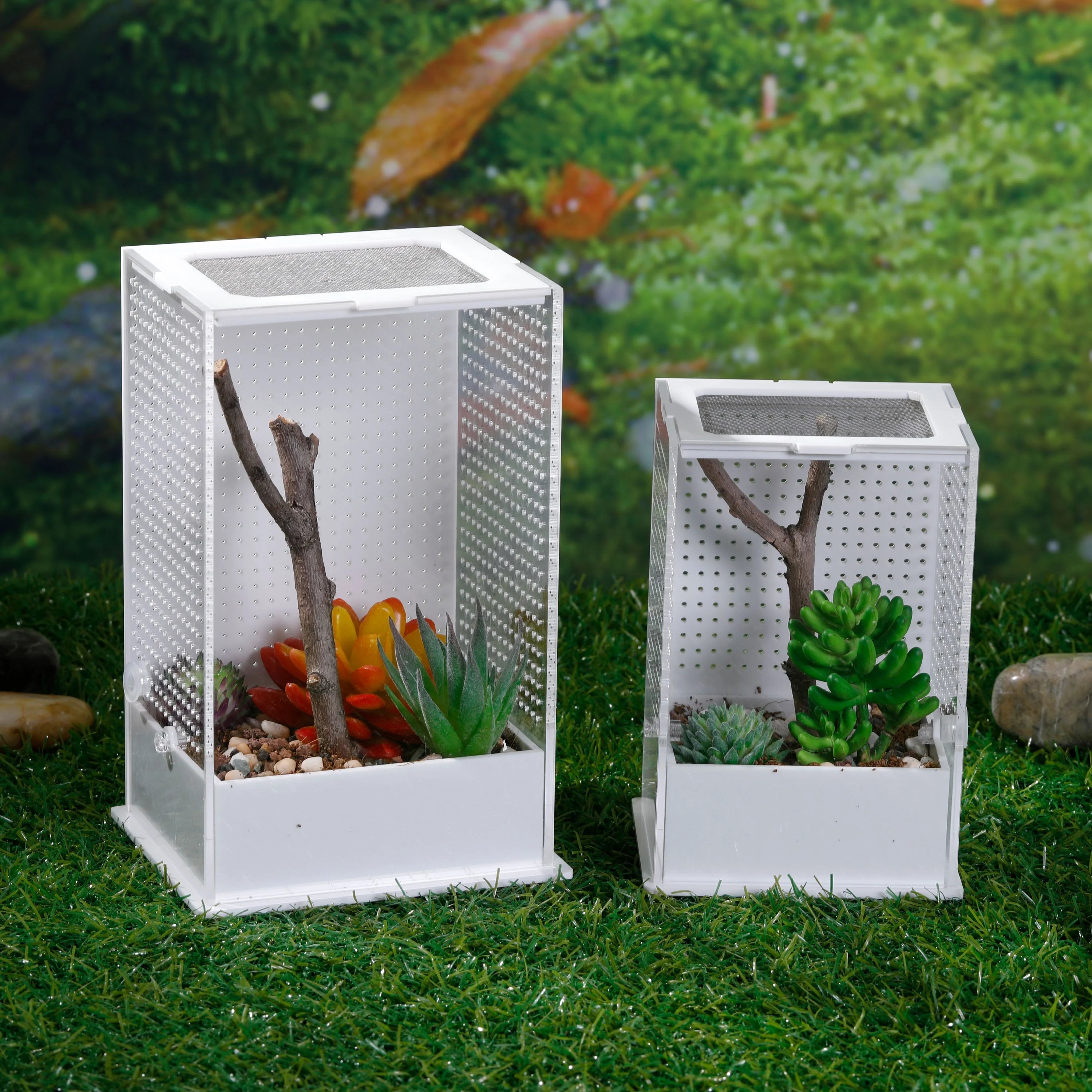 Modern Jumping Acrylic Reptile Box Magnetic Enclosure for Insect Lizard Pet Cages Breed Lizard Insect Lizard Pets