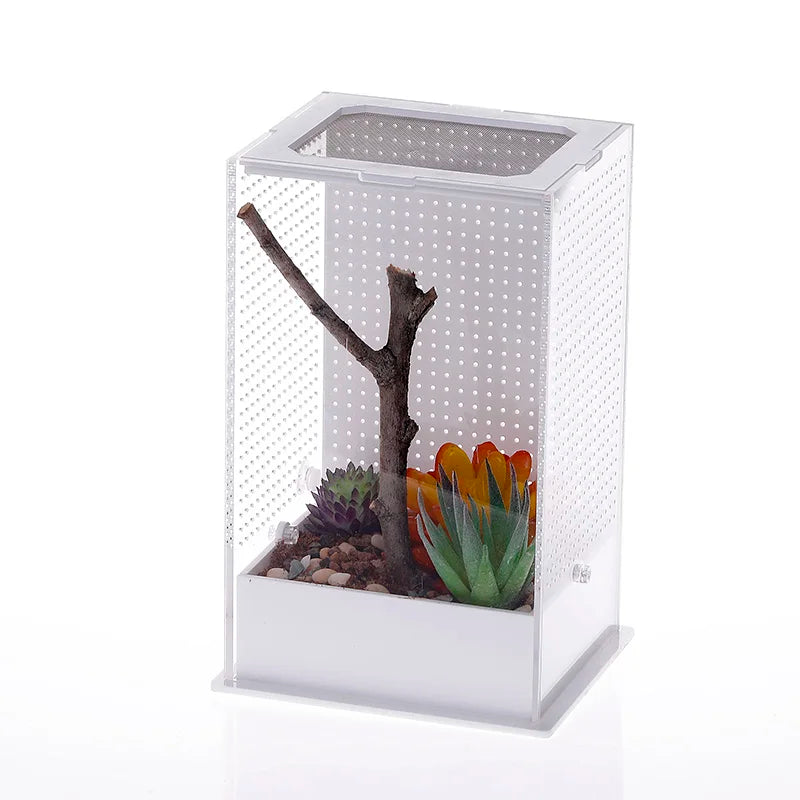 PET Eco-Friendly Small Animal Reptile Tank with Acrylic Sides Enclosure for Wolf Spiders & Tree Frogs Breathable Feature MegaBDM