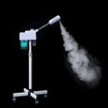 Beauty Salon Facial Steamer with Hot Spray & Nano Spray 2-in-1 Black Hydrating Device Wholesale MegaBDM
