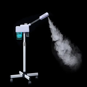Beauty Salon Facial Steamer with Hot Spray & Nano Spray 2-in-1 Black Hydrating Device Wholesale