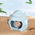 Best-Selling Eco-Friendly Ceramic Summer Cooling Large Hamster Hide