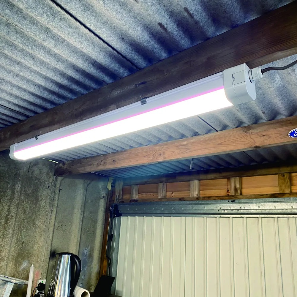 Stock Commercial Supermarket Shop 4000K 5ft Linkable 60W Triproof Tube Office Fixture Batten bar Led Linear Light