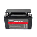 With BMS 12V12Ah Lithium Iron Phosphate Motorcycle Battery Lifepo4 Lfp LFP Strong Power for EV High Rate Discharge Support OEM
