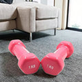 Professional Small Dumbbell for Home Gym Fitness Vinyl Coated Weight Lifting Equipment for Women Beginners Wholesale