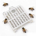 Plastic Mailing Queen Bee Cage Anti-Escape Queen Transport Box Queen Rearing Beekeeping Tools MegaBDM