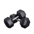 ShengQi 10kg Hexagon Cast Iron & Rubber Coated CE Certified Black Dumbbell Set with 2-Year Warranty for Multi-Sport Fitness