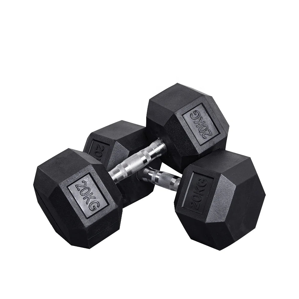 ShengQi 10kg Hexagon Cast Iron & Rubber Coated CE Certified Black Dumbbell Set with 2-Year Warranty for Multi-Sport Fitness