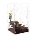 Customized Modern Small Acrylic Feeding Box Terrarium Travel Habitat for Reptiles Like Gecko Frog Spider Snake MegaBDM