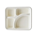 Compartment Disposable Paper Plate 100% Compostable Sugarcane School Lunch Tray Heavy-Duty Sectional Plates Eco-Friendly MegaBDM