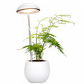 Full Spectrum LED Grow Light for Indoor Plants Floor Lamp with Adjustable Height Stand Plant Growing Light for Home Garden MegaBDM