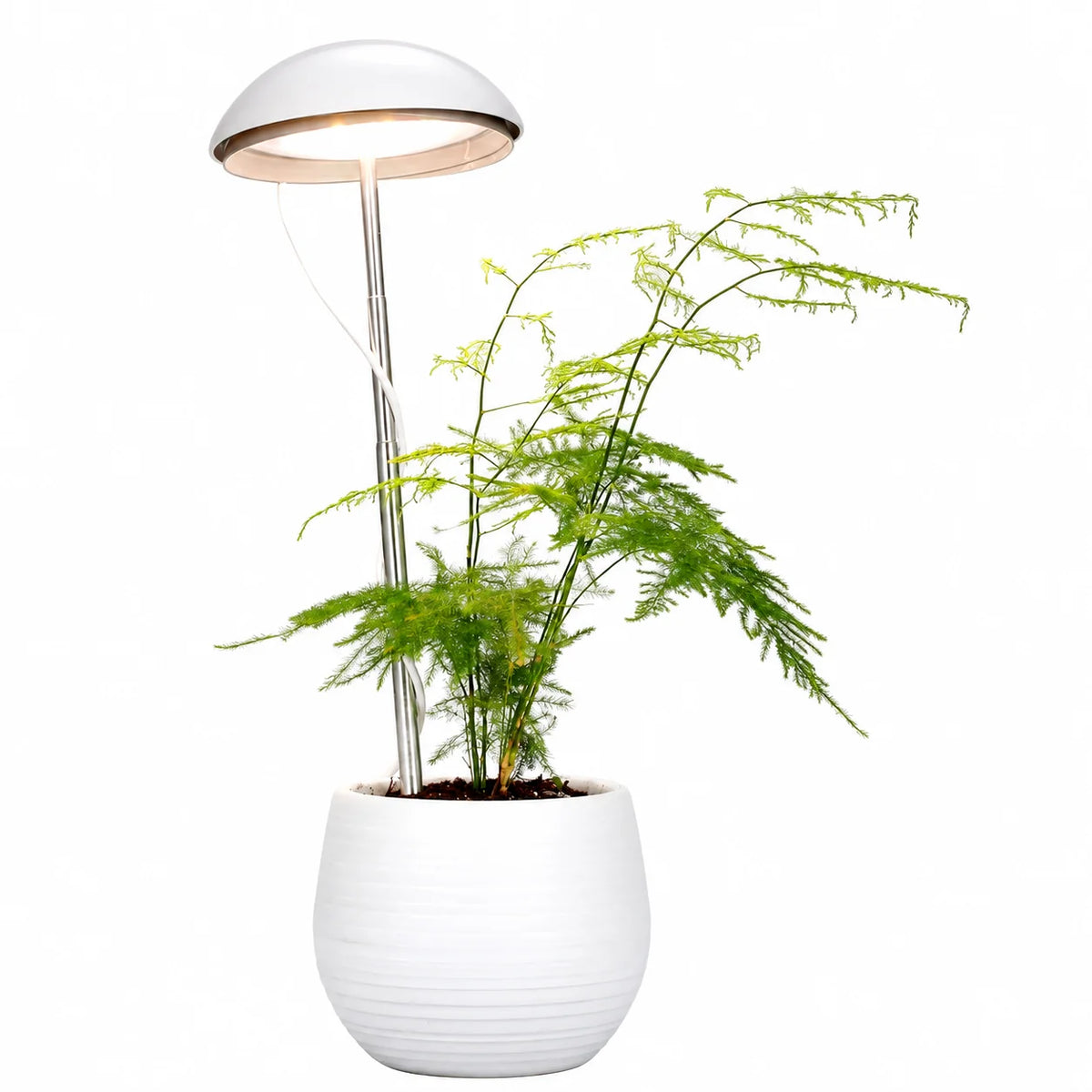 Full Spectrum LED Grow Light for Indoor Plants Floor Lamp with Adjustable Height Stand Plant Growing Light for Home Garden MegaBDM