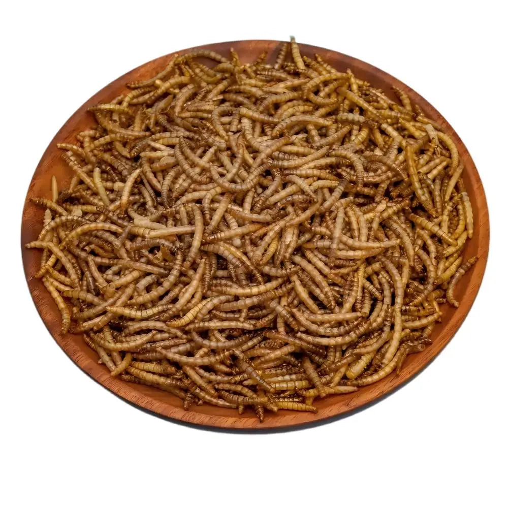 100% Non GMO Natural Dried Mealworms New Functional Dried Insects for Chickens and Wild Birds Pet Food