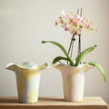 Creative Glazed Ceramic Planter Large Decorative Flower Pot for Indoor Decoration