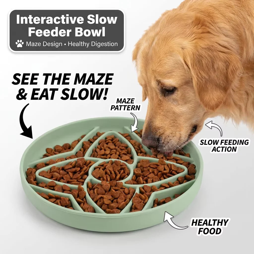 2027 New Arrivals Anti-Choking Slow Feeding Cat Dog Disc Eco-Friendly Silicone Pet Food Utensils Bowls