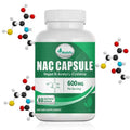 OEM/ODM NAC Capsules N-Acetylcysteine Supports Respiratory Health & Immune Function Liver & Kidney MegaBDM