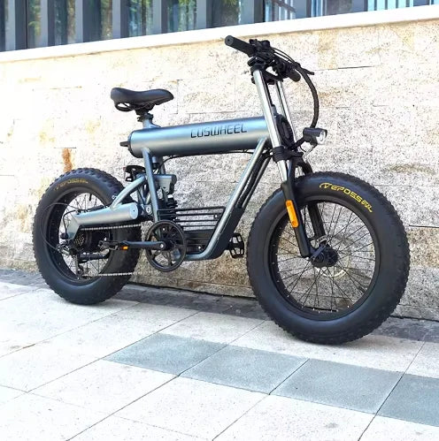 US Warehouse 1000W 28mph COSWHEEL T20 Electric Dirt Bike 48V 20Ah Removable Battery 20"x4" Fat Tire Off-Road EMotorcycle