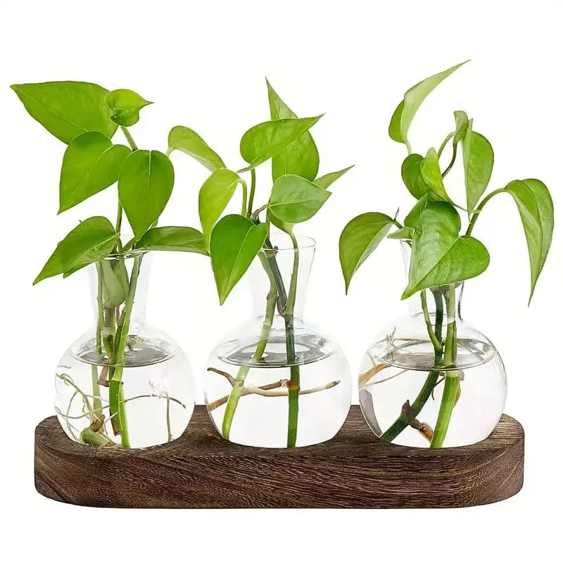 Desktop Glass Plant Propagation Station with Wooden Stand Hydroponic Rooting Vase Set for Indoor Plant Cuttings Home Decor MegaBDM