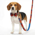 Petkaa Blue and Red Plaid Popular Pattern Dog Collar and Leash with Bow Tie Pet Accessory Custom Logo for Retail and Brands