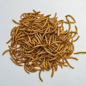 100% Natural Bulk Dried Tenebrio Larvae Mealworm Birds Chicken Food