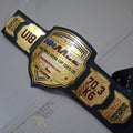 Custom Taekwondo Jiu-Jitsu Judo MMA Boxing Wrestling Championship Belt for Competition Unisex OEM Wholesale Supplier MegaBDM