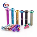 TS 10PCS Titanium Bolts M5/M6x10/15/20/25/30/35mm Half Round Allen Key Head Screws for Motorcycle Car Aeromodelling Refit