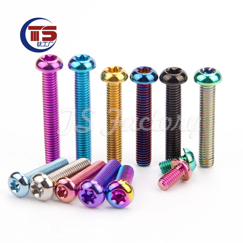 TS 10PCS Titanium Bolts M5/M6x10/15/20/25/30/35mm Half Round Allen Key Head Screws for Motorcycle Car Aeromodelling Refit