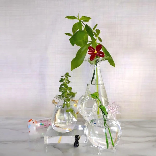 Best Quality Handmade Blown Glass Hydroponic Vase with Customized Color for Home Garden & Restaurants Tabletop Decoration