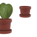 Succulent-friendly Decorative Pots with Saucer for Home & Garden Use