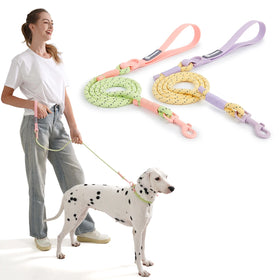 Modern Personalized Manufacturer Luxury Wholesale Adjustable Reflective Custom Logo Nylon Pet Dog Collar Leash Set