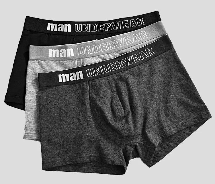 Customized Men's Underwear Shorts Solid Knitted 100% Cotton Plus Size Boxer Briefs Logo Waist Breathable Eco-Friendly
