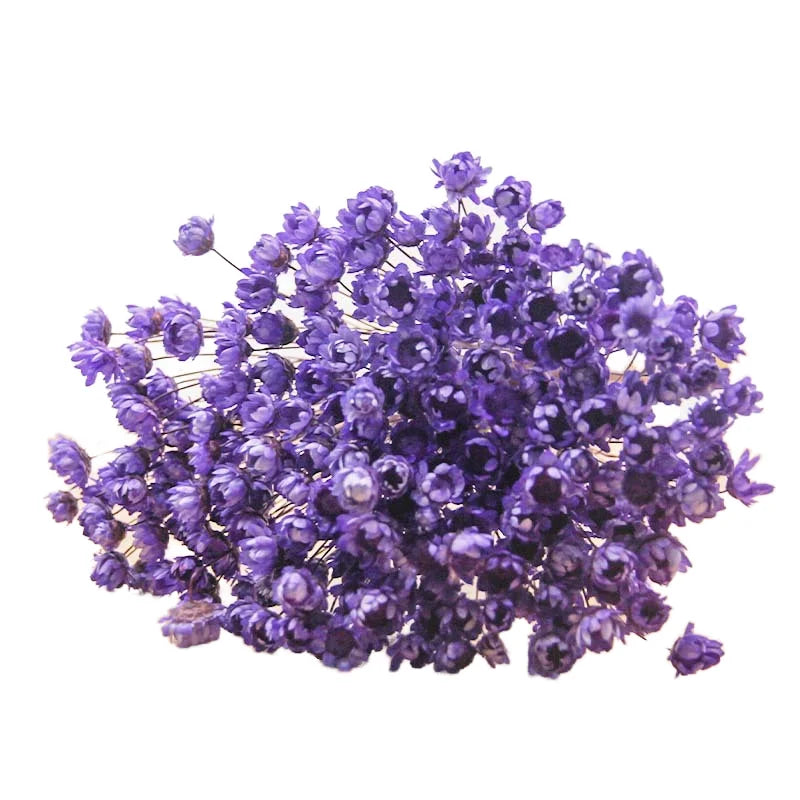 Wholesale Preserved Flower Gypsophila Babysbreath Dried Baby's Breath Square Handmade Long Lasting 3-5 Years Tabletop for April MegaBDM