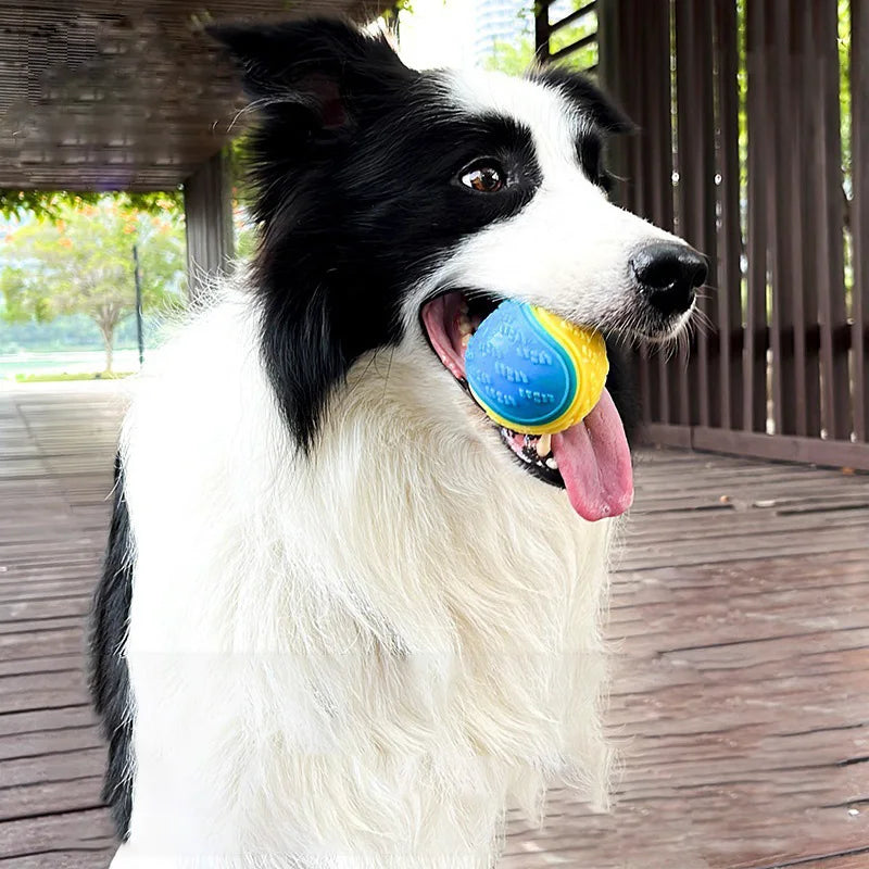 Wholesale 6.5cm Durable Dog Ball Toys Colorful TPR Rubber Tennis Dog Squeaky Ball Made of Silicone and Plastic for Training MegaBDM
