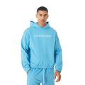 Oversized Hoodie with Elastic Hem Pattern 430 GSM Cotton Fleece Simple Logo Placement Easy Customisation for Bulk Production