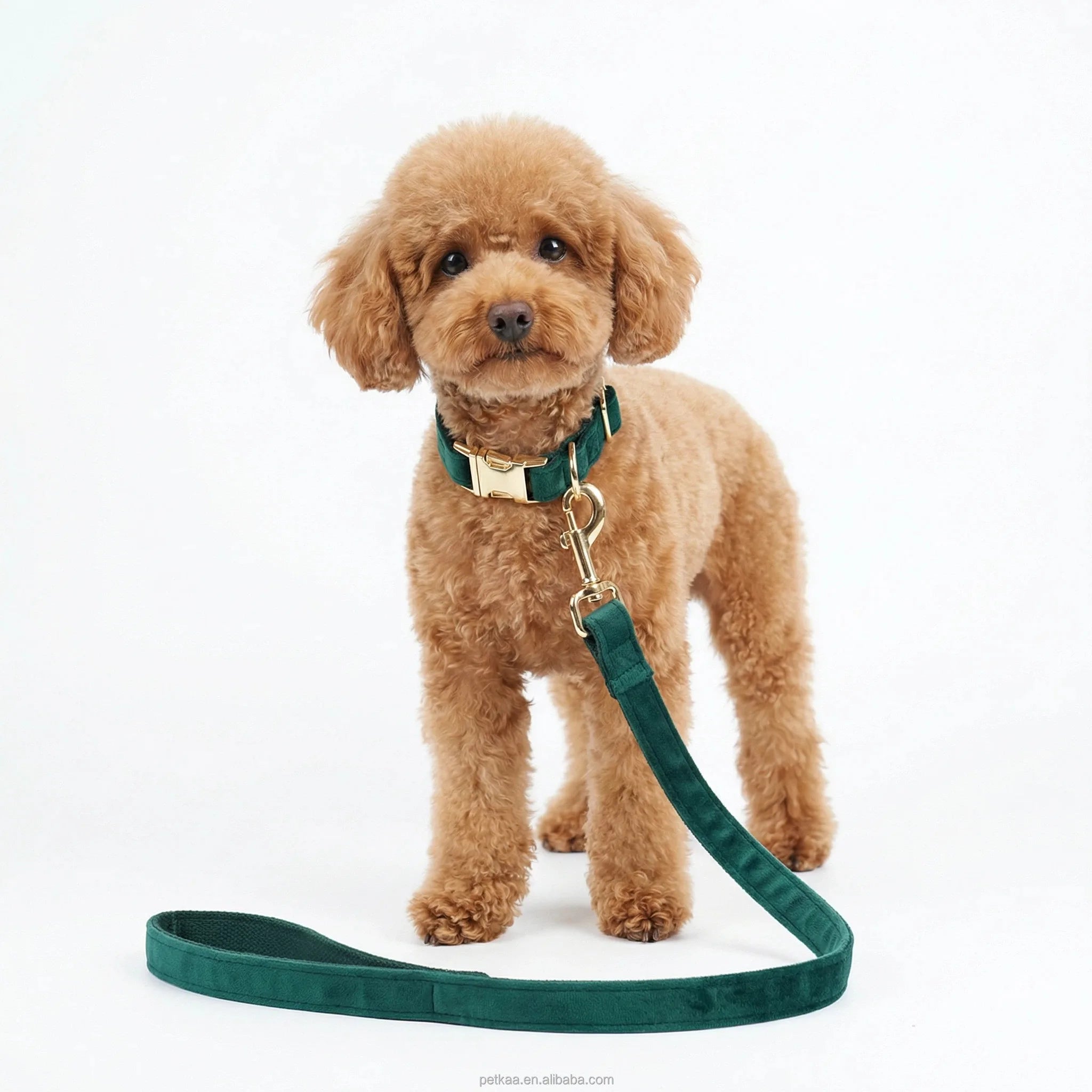 2026 Christmas Green Dog Collar and Leash Sets Wholesale Custom Laser Logo Design Style Metal Gold Buckle Velvet Material Luxury