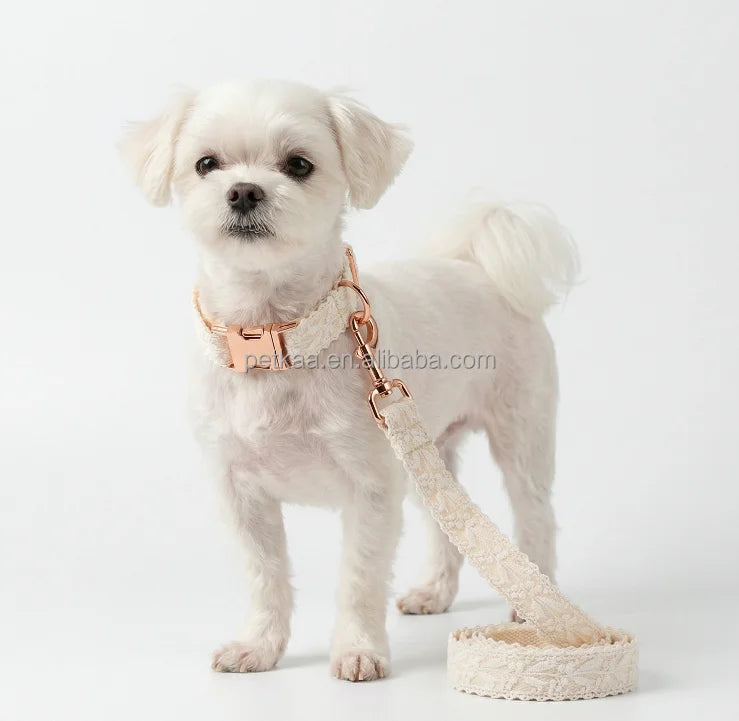 Petkaa 2026 Lace Material Luxury Adjustable Dog Collar Leash Harness Sets Wholesale OEM ODM Customization Logo Comfortable