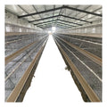 3000 Birds MT Poultry Farm Design Battery Egg Chicken Layer Cage Poultry Cage a Type Cage Sale for Ghana Farm at Factory Price