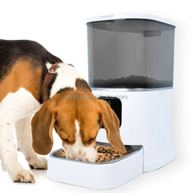 5L Smart Pet Feeder Eco-Friendly WiFi Camera Auto Scheduled Portion Control Stainless Bowl Automatic Cat Food Dispenser