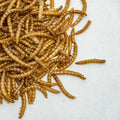 Customized Packaging Dried Mealworms with High-Protein Bird Treats