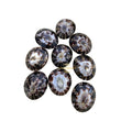 Vietchoice Natural Shell Eco-Friendly Vietnam-Made Wholesale Decoration Gift Bulk Shock Price Polished Limpet Shell MegaBDM