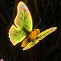 Holiday Festival Landscape Garden Courtyard Park Lamps Decor 3d Butterfly Decorations Led for Party Event Christmas