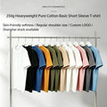 OEM 250G Heavyweight 100% Cotton Unisex Crew Neck T Shirt Straight Shoulder Premium Basic Tee Printed Short Sleeve Wholesale MegaBDM