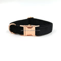 Luxury Unique Black Velvet Design Breathable Comfortable Dog Custom Collar Set Personal Customize Logo Popular Fashion in Stock