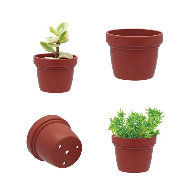 Succulent Pots Plastic Mini Small Tiny Plastic Plant Succulent Pot Flower Pot Cactus Planters with Drainage