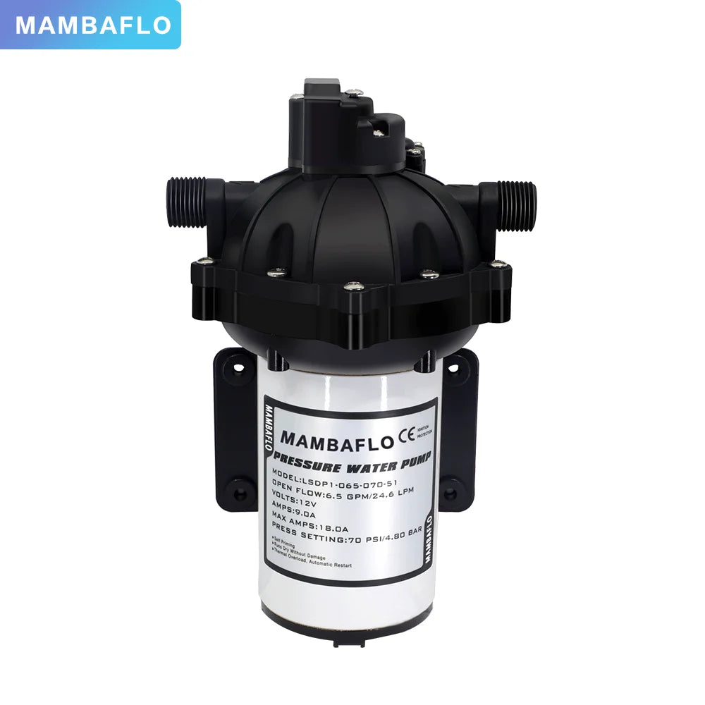 Car Washing Pump 51SERIES 24 DC Diaphragm Water Pump Self-priming  24.6LPM/6.5GPM  70PSI Deck  Wach caravan Pump