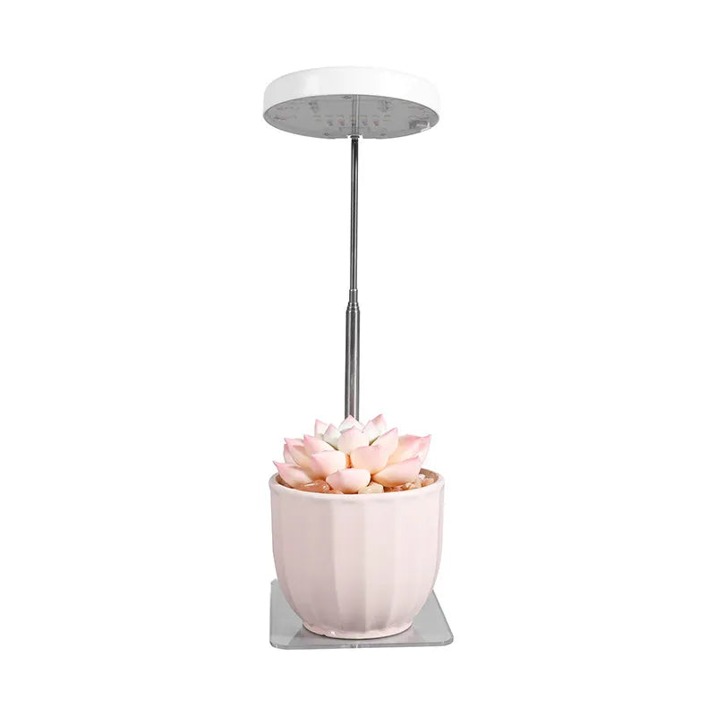 CE & RoHS LED 5W USB LED Grow Light Full Spectrum Plant Lamp Adjustable Stand Light for Indoor Plants with 3/9/12H Timer MegaBDM