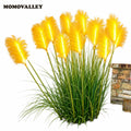 Commercial LED Pampas Grass Light for Garden Landscape Decoration Project Buyers With Warm Ambient Lighting Supply Supply MegaBDM