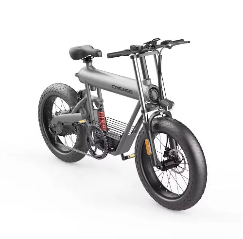 COSWHEEL T20 1000W Peak 28mph Fat-Tire Electric Dirt Bike US Stock Removable 48V 20Ah Battery Hydraulic Brakes