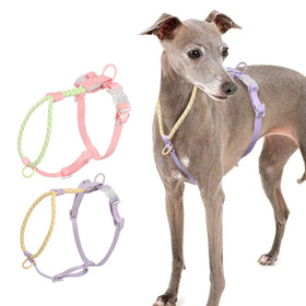 Dog Harness Modern Luxury for Small Medium Sized Dogs Custom No Pull PVC Reflective Breathable Puppy Pet Dog Vest Harnesses