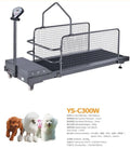 Dog Treadmill Large Dogs Dog Treadmill Xl Slat Treadmill for Dogs Dog Pacer Treadmill Wholesale Dog Treadmill