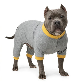 Puppy Plain Hoodie in Polyester Fleece Custom Logo Custom Costume Comfortable Warm Trendy Soft New Cute Premium 2026 Stylish